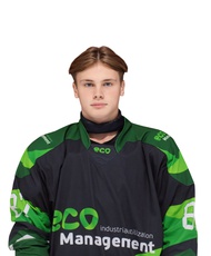 Амосов Степан Филиппович