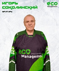Соколинский Игорь Владимирович