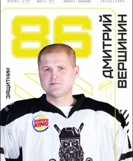 Вершинин Дмитрий Александрович