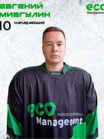 Мизгулин Евгений Евгеньевич