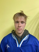 Чермошенцев Дмитрий Александрович