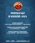 ФИНАЛЫ КУБКОВ 31 МАЯ