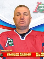 Сырцов Андрей Владимирович