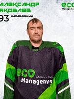 Яковлев Александр Юрьевич