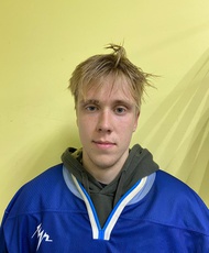 Чермошенцев Дмитрий Александрович