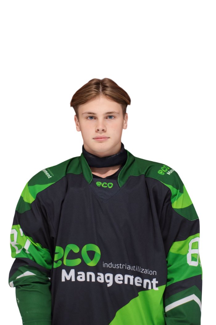 Амосов Степан